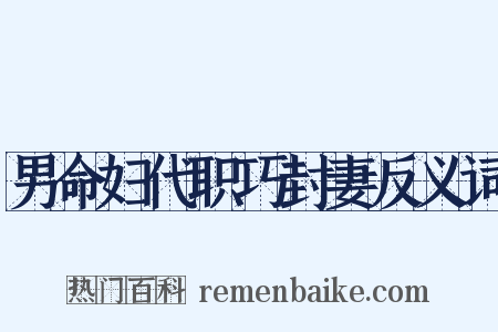 男命妇代职巧封妻反义词是什么意思的图片